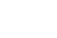 Cotton Flower